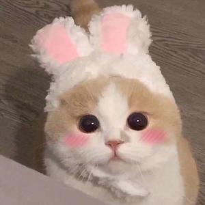 爽⋯躁多水⋯快⋯深点校园
