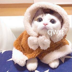 爽⋯躁多水⋯快⋯深点校园
